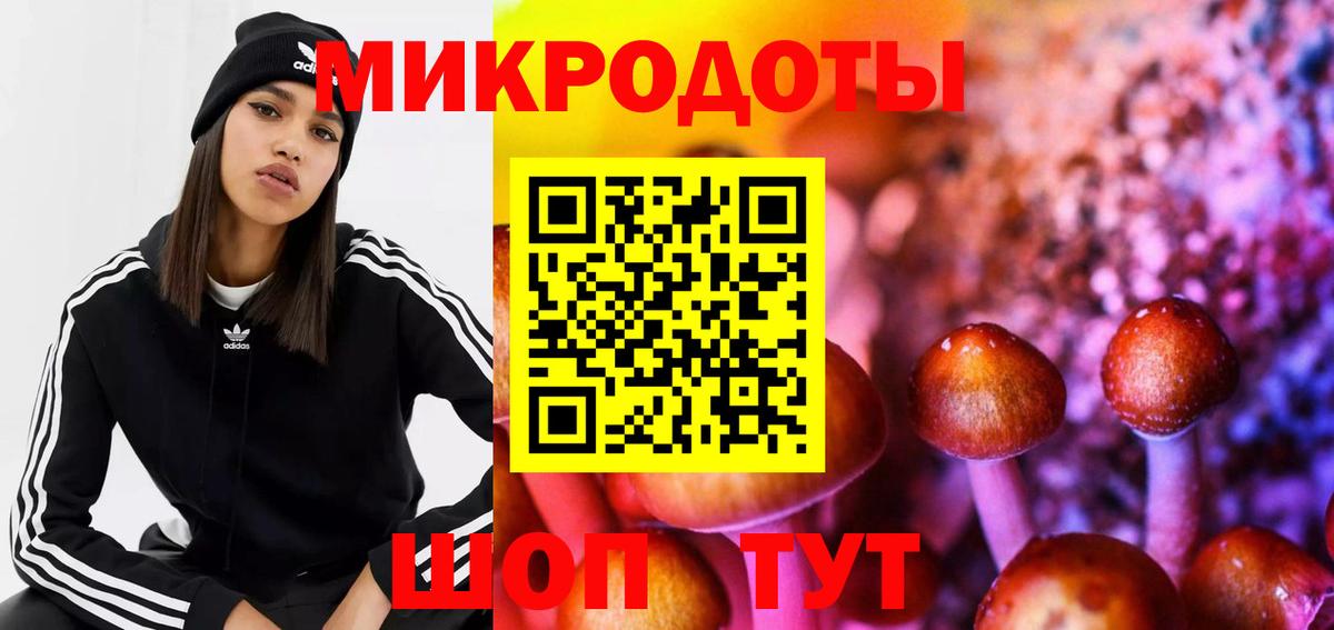купить наркоту  Псилоцибиновые грибы мухоморы  Галлюциногенные грибы ЛСД  Вход с VPN  Саранск 